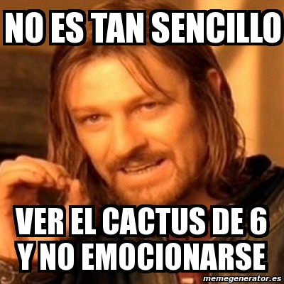 Cactus de 6.jpg