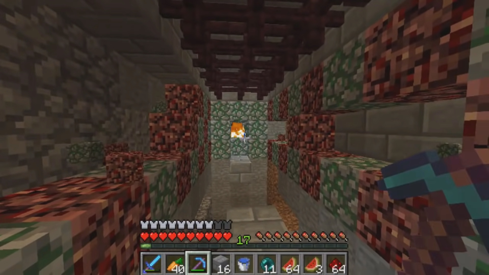 Ep 44 ElRichMC destruye el Cultivo de Nether Wart.jpg