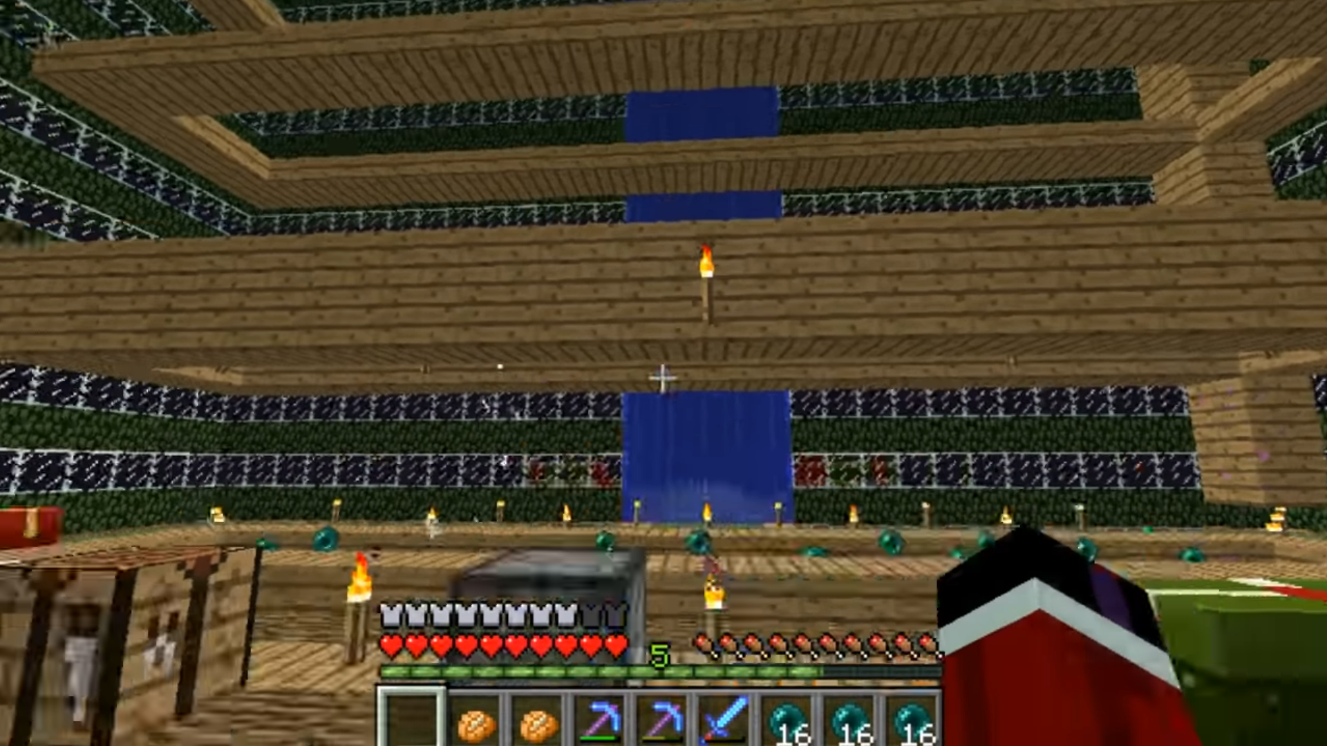 ep51.construccion_granja_endermans.PNG