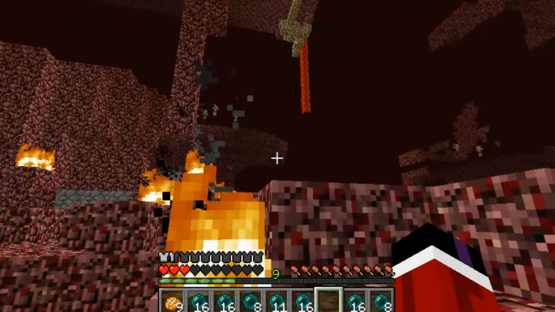 ep54.bioma_nether.PNG