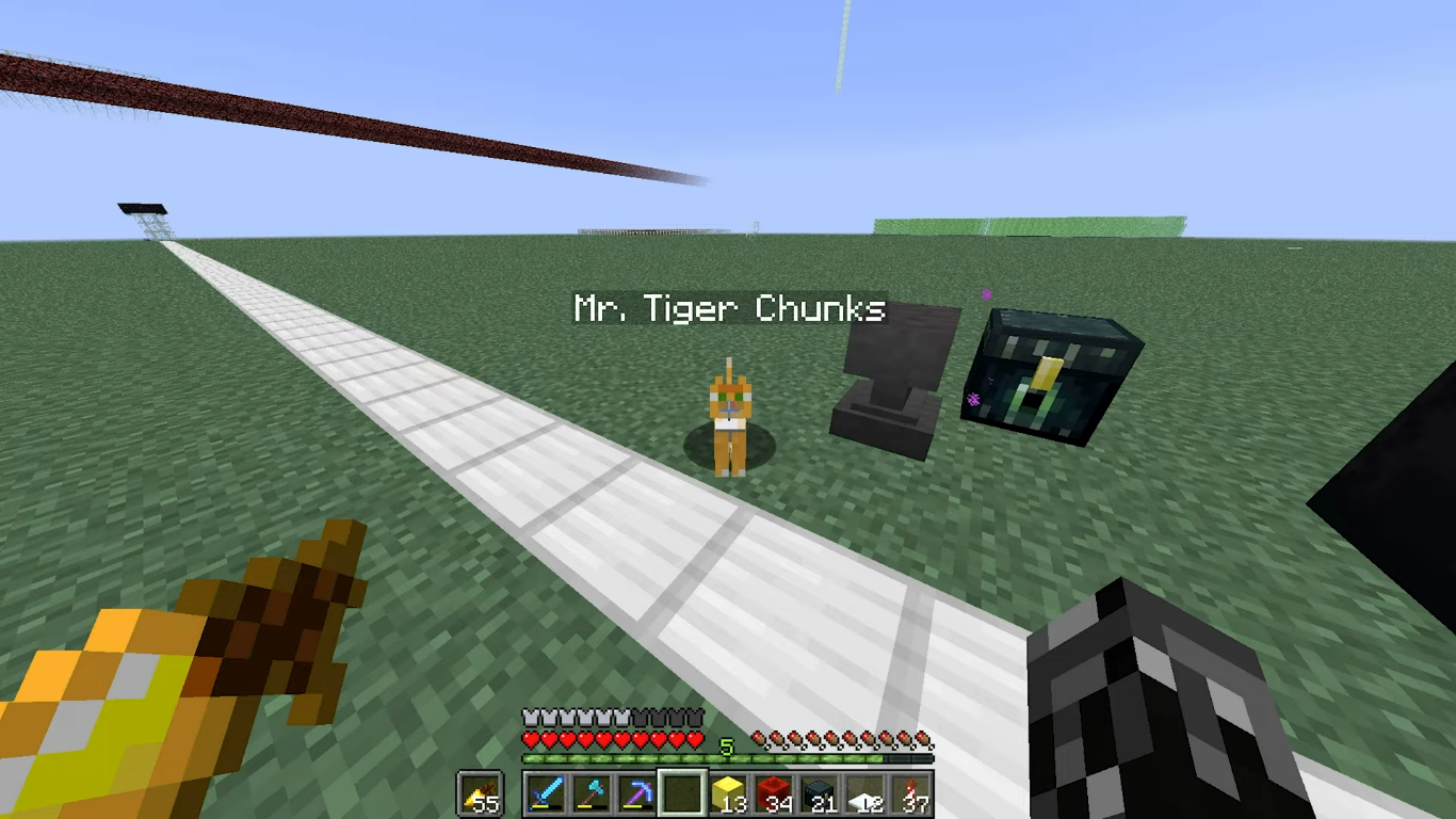 Mr. Tiger Chunks.png